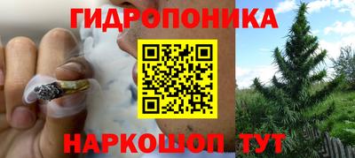 гидра Кинель