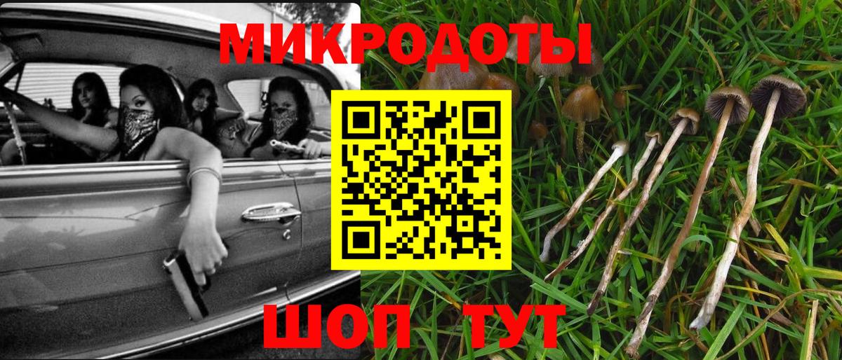 Галлюциногенные грибы прущие грибы Костомукша