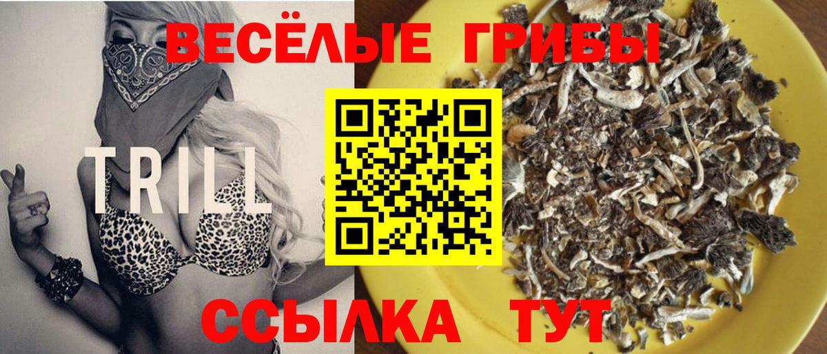 Костомукша  Галлюциногенные грибы мицелий  Вход с VPN 